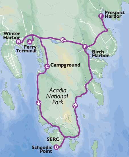 Map of Schoodic bus route